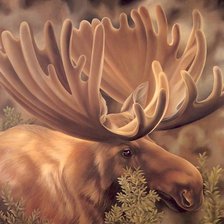 Схема вышивки «L.REGAN. Лось»