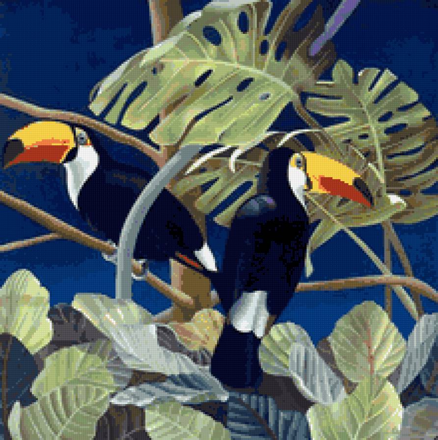 №575437 - савана, фауна, живопись, туканы, птицы, африка - предпросмотр