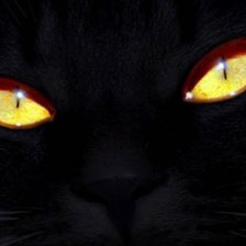 Схема вышивки «№575462»