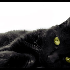 Схема вышивки «№575463»