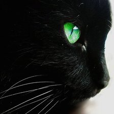 Схема вышивки «№575471»