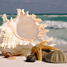 Схема вышивки «морской берег»