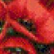 Предпросмотр схемы вышивки «маки» (№575585)