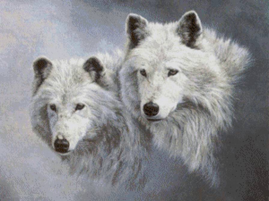 №575756 - животные - предпросмотр