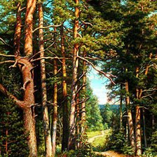 Схема вышивки «№575767»