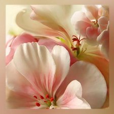 Схема вышивки «№575811»