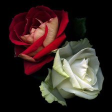 Схема вышивки «№575833»