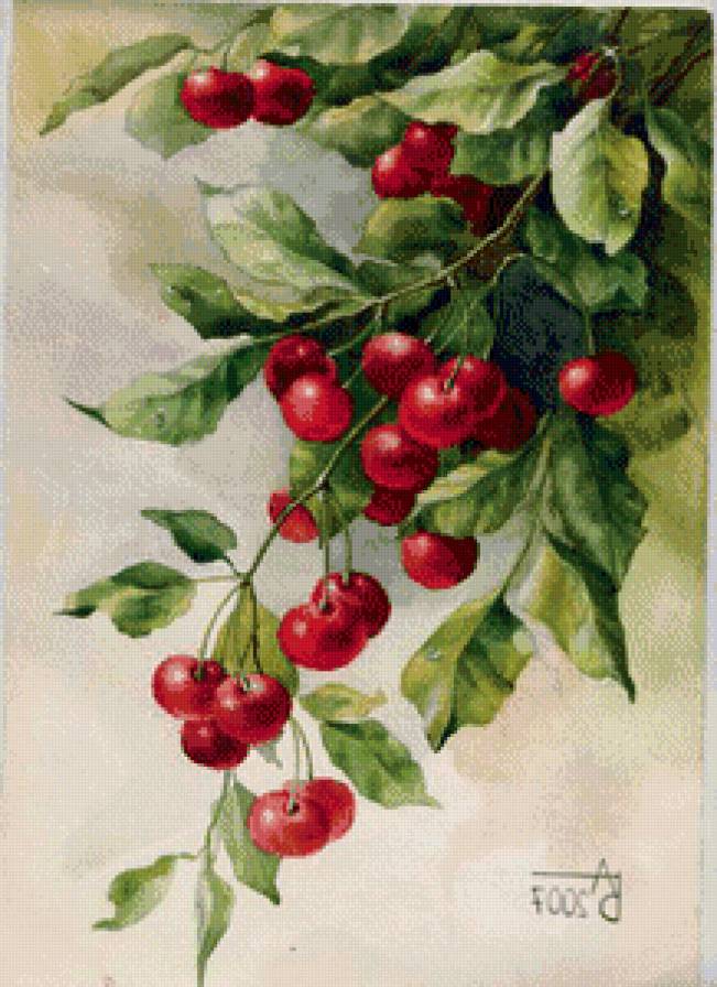 №575851 - ягоды - предпросмотр