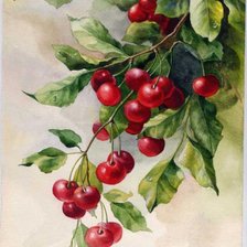 Схема вышивки «№575851»