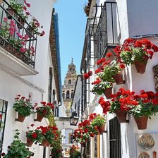 Схема вышивки «улочка»