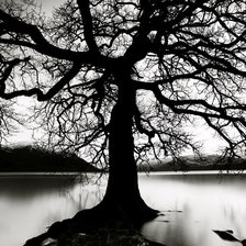 Схема вышивки «Чёрное Дерево»