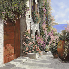 зветущий дворик