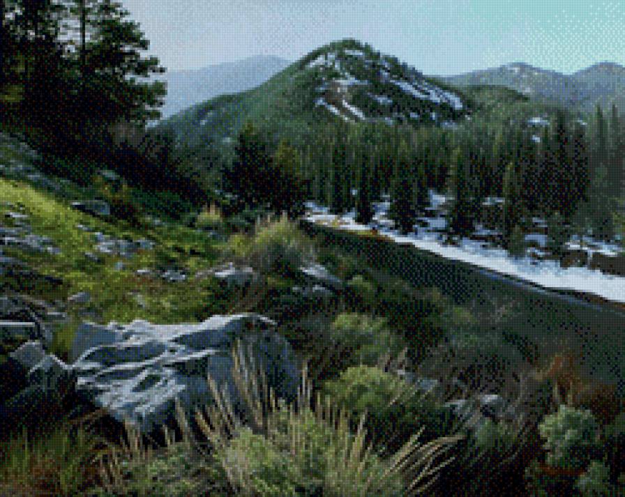 лес в горах - лес, горы - предпросмотр