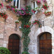 Схема вышивки «дом с цветами»