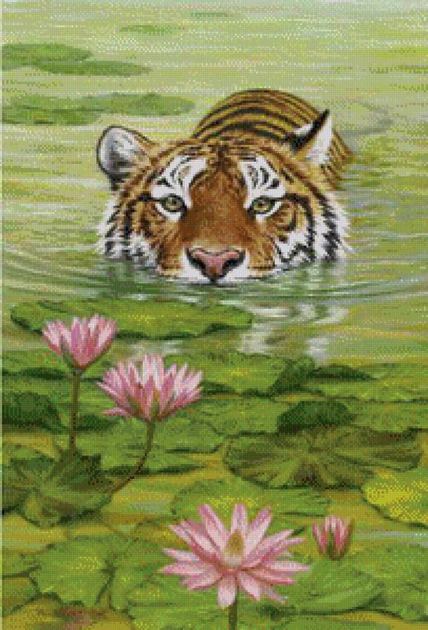 №575952 - животные - предпросмотр