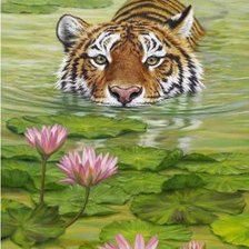 Схема вышивки «№575952»