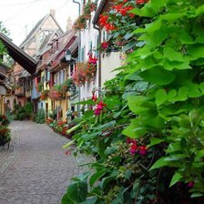 Схема вышивки «зеленая улица»