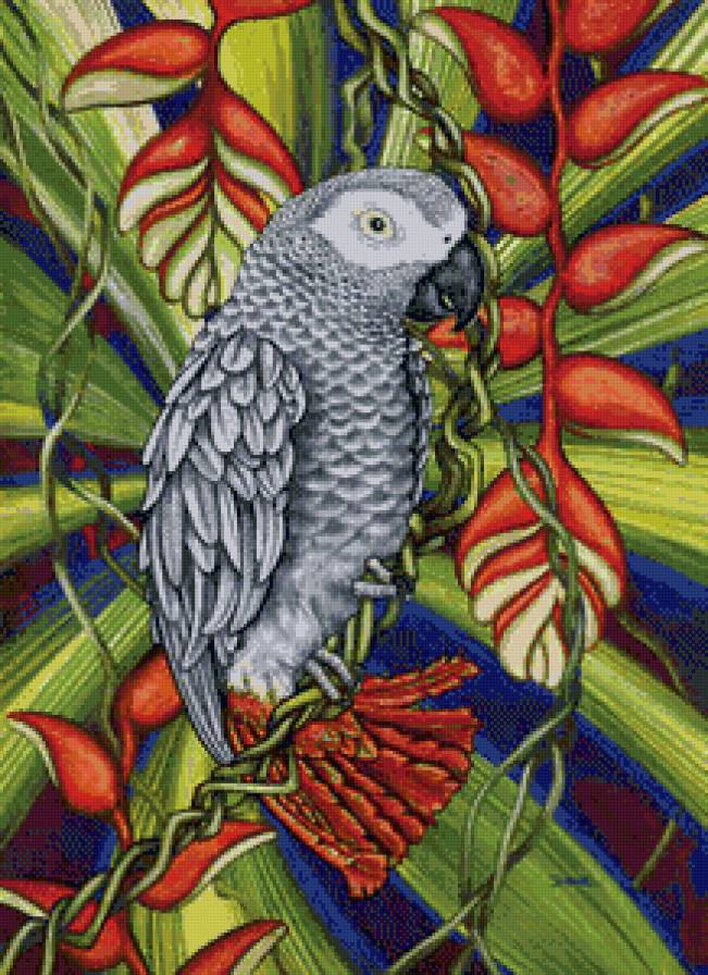 Попугай 2 - попугаи, птицы, жако - предпросмотр