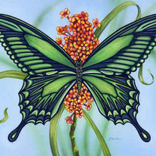 Схема вышивки «Серия "Бабочки"»