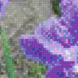 Предпросмотр схемы вышивки «ирисы» (№576031)