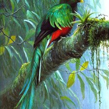 Схема вышивки «№576049»