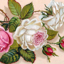 Схема вышивки «№576099»