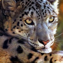 Схема вышивки «снежный барс1»