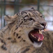 Схема вышивки «король гор»