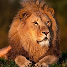 Схема вышивки «ОН»