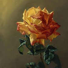 Схема вышивки «Antonov Aleksiej-Roza»