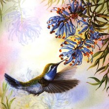 Схема вышивки «пано коллибри»