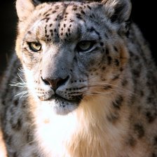 Схема вышивки «я главный»