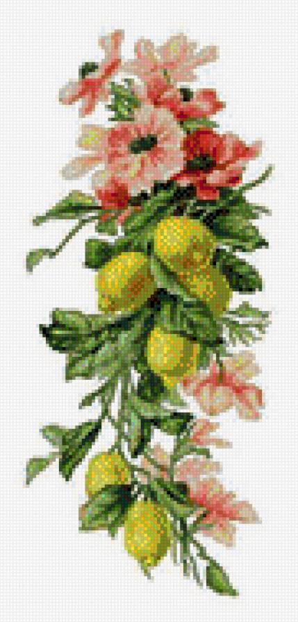 Лимоны - лимоны - предпросмотр