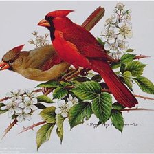 Схема вышивки «№576387»