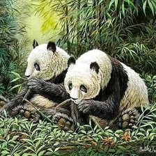 Схема вышивки «№576576»