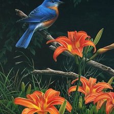 Схема вышивки «№576580»