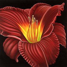 Схема вышивки «Красный цветок, лилии»