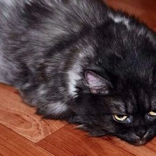 Схема вышивки «Тетя Муся»