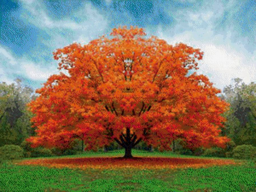 осенее дерево - дерево - предпросмотр