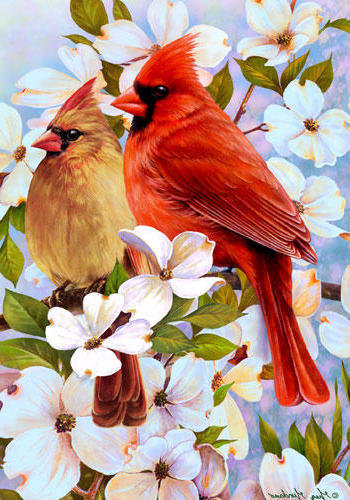 №576717 - птицы - оригинал