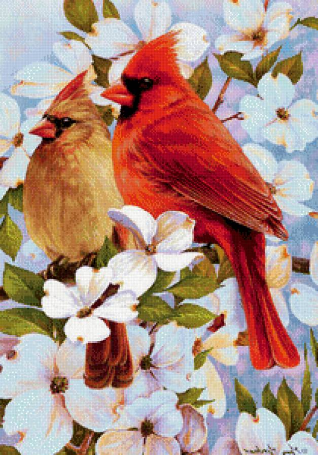 №576717 - птицы - предпросмотр