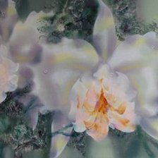 Схема вышивки «цветы»