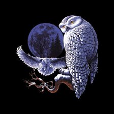 Схема вышивки «картина»