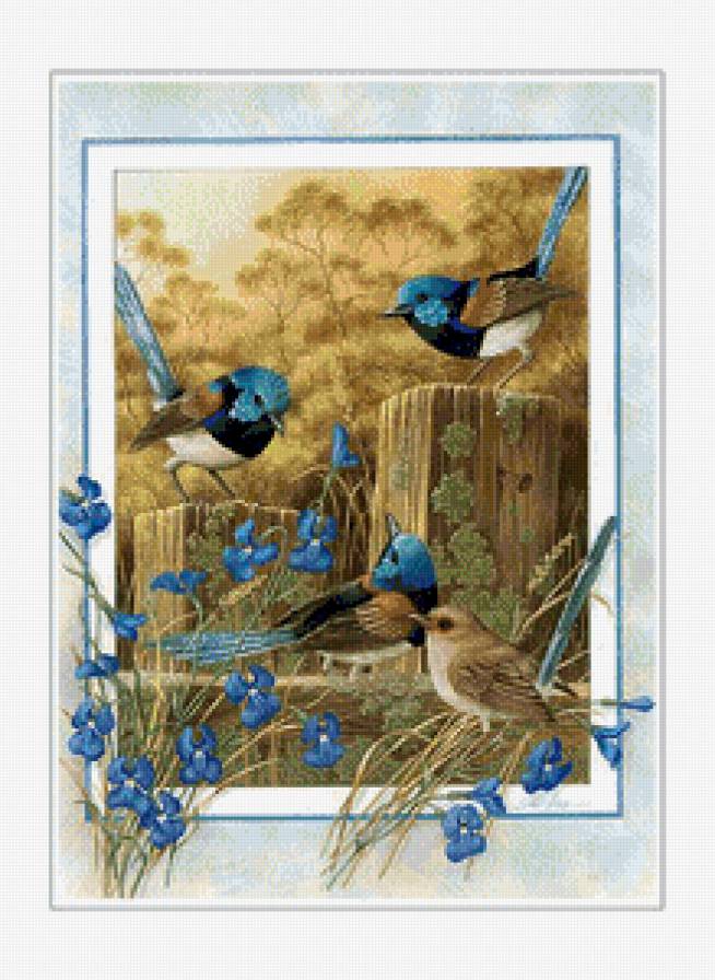 Птички - птички - предпросмотр