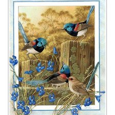 Схема вышивки «Птички»