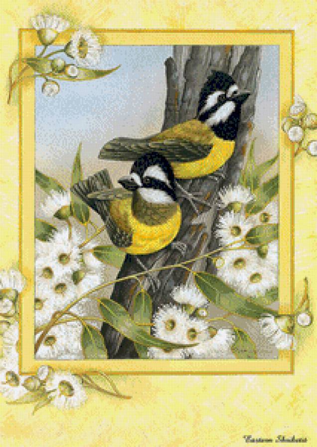 птички - птички - предпросмотр