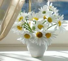 Схема вышивки «Ромашки»