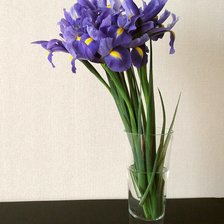 Схема вышивки «Ирис букетик»