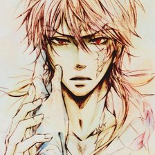 Схема вышивки «Занзас»