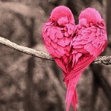 Схема вышивки «птички»